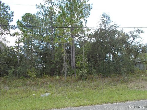 2nd image of 7233 N Radcliff Ave