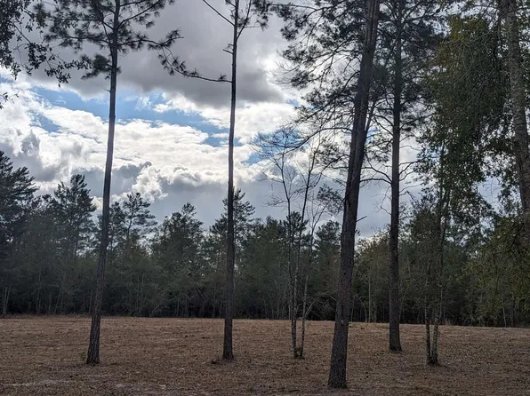 33 Southwest Loop, Jasper, FL 32052