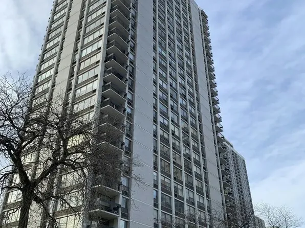 1455 N Sandburg Ter, Chicago, IL