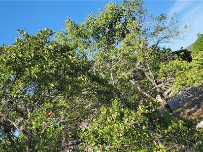 15819 & 15825 Loveta Lane Ct, Temple, TX, 76502