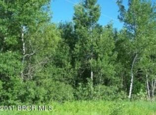 47777 229th Ave, Bemidji, MN 56601