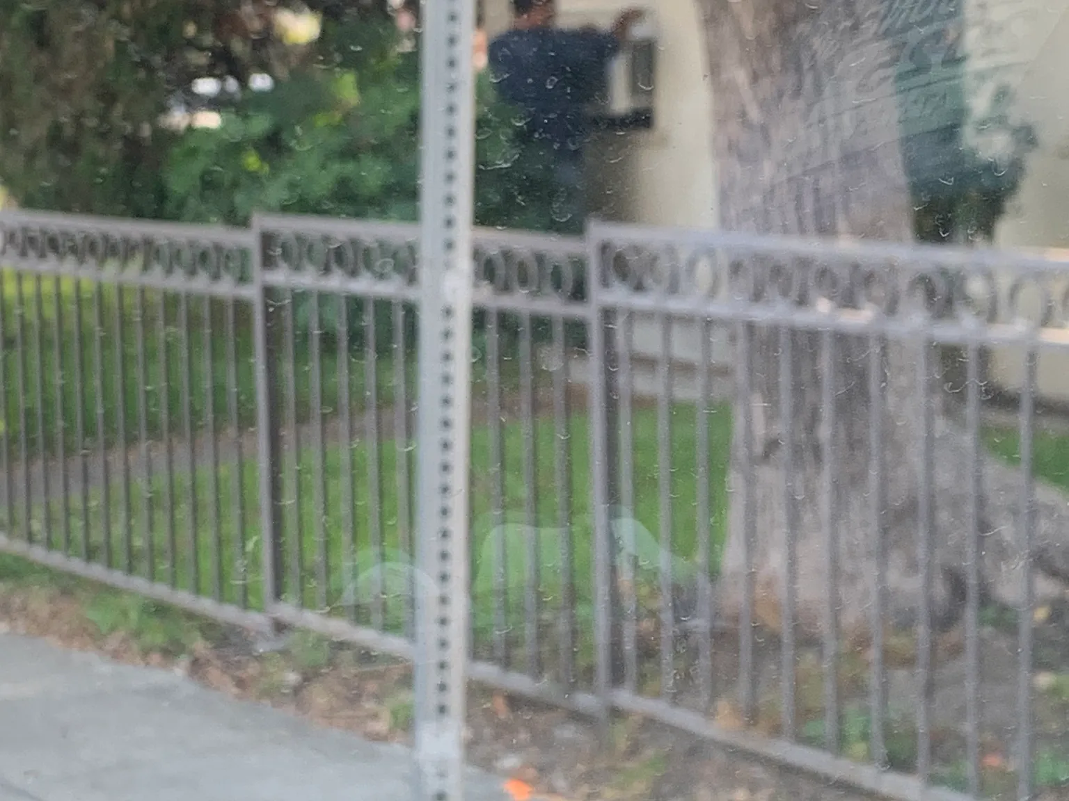 1 bed, 660 sqft, $1,990 — Photo 3