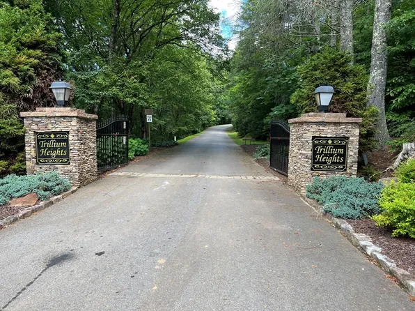 10 Trillium Ln, Brasstown, NC 28902
