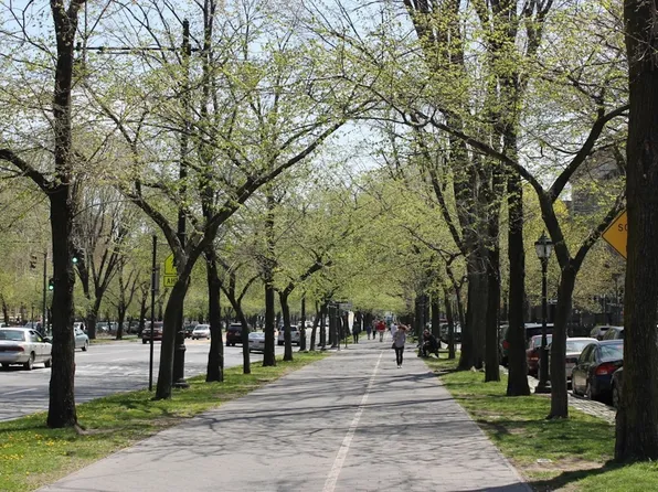 410 Eastern Parkway image 7 of 8