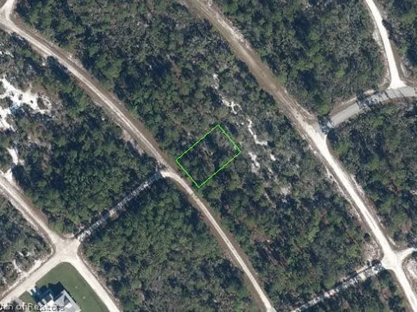 1133 Redbird St, Lake Placid, FL 33852