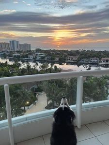21050 NE 38th Ave APT 1201, Aventura, FL, 33180