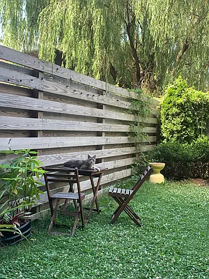 Rented by Nest Seekers International | media 8