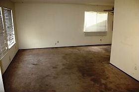 4th image of 9909 Bexley Dr