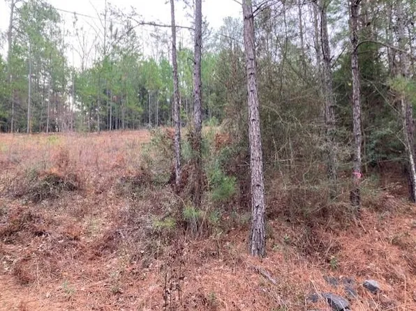 LOT 46 Sandy Landing Rd, Andalusia, AL 36421