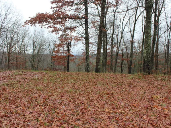 178 Citation Ln, Craigsville, WV 26205
