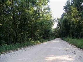 4th image of 2035 SW Pettis Springs Cir