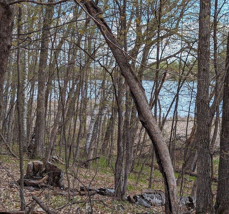 1st image of Paradise Dr