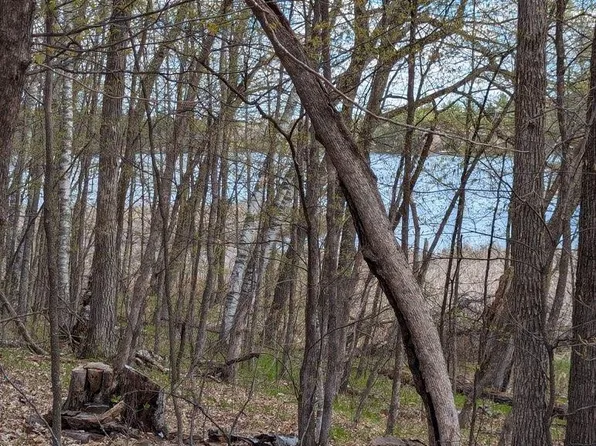 Paradise Dr, Browerville, MN 56438