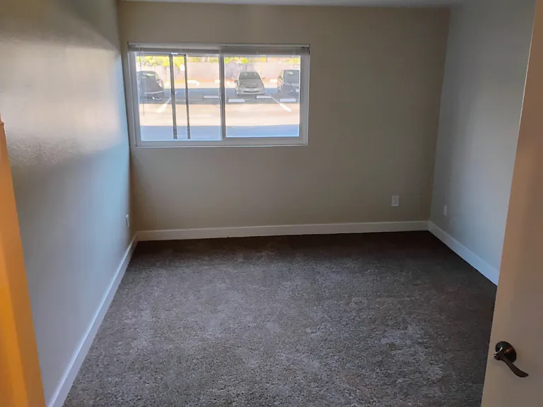 Pine Wild Apartments — Photo 6