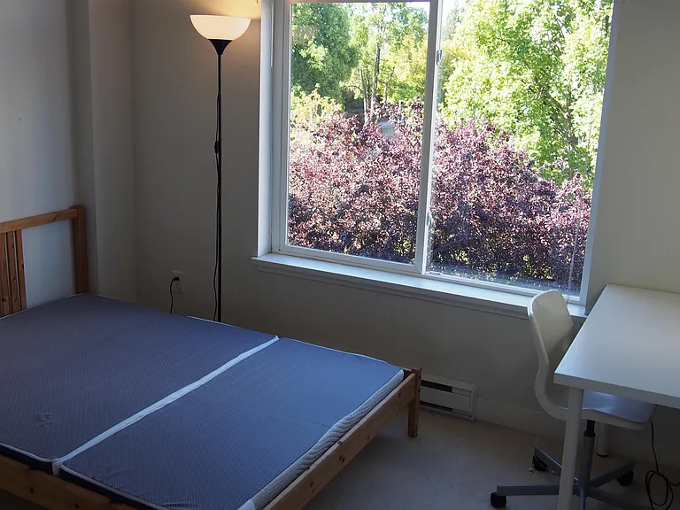 5692 Kings Rd #310 — Photo 8