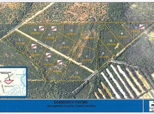 LOT 14 Samworth Loop, Georgetown, SC 29440