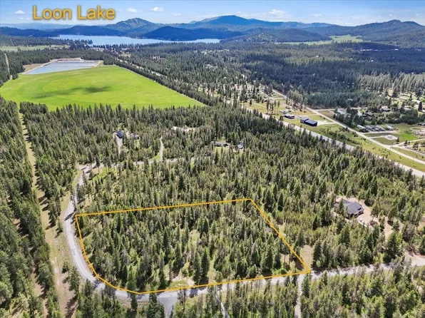 3804 Meadowlark Way, Loon Lake, WA 99148