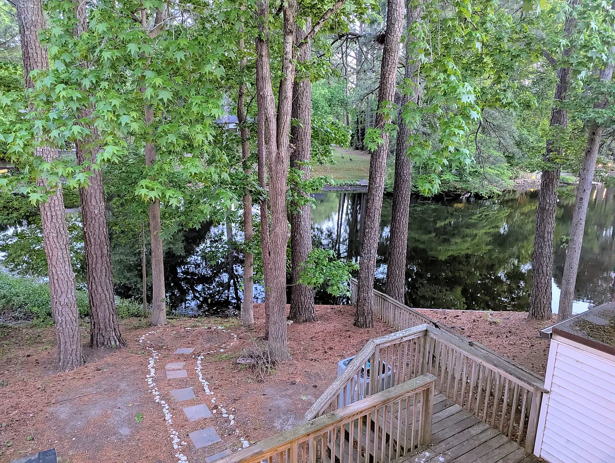 Backyard - 904 Poquoson Cir