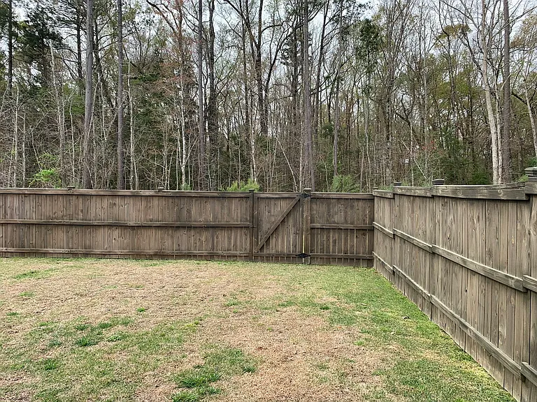 221 Pink Azalea St — Photo 42