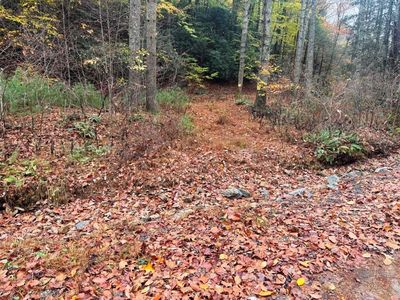 21B Collins Cove Rd, Ivanhoe, VA, 24350