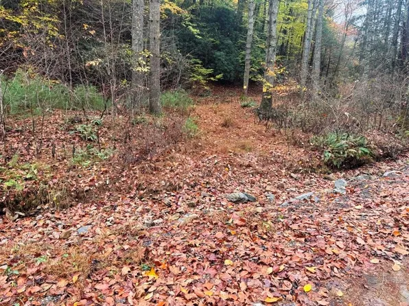 21B Collins Cove Rd, Ivanhoe, VA 24350