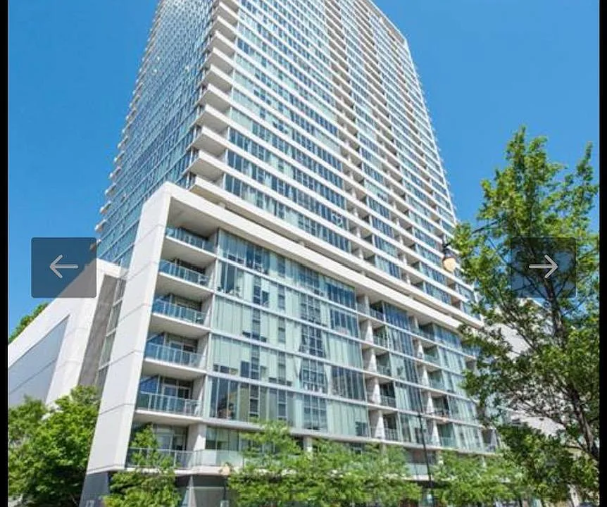 1720 S Michigan Ave #3207