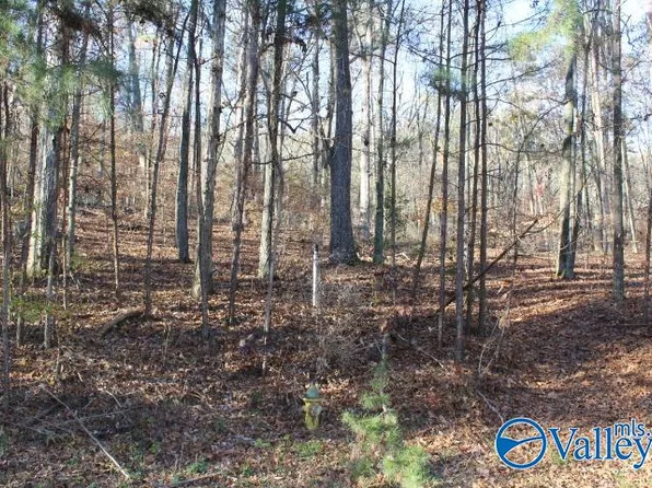 404 Tomahawk Cir, Guntersville, AL 35976