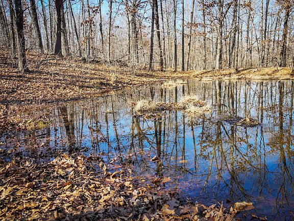 5th image of 000 Ridge Trail Road Lot B