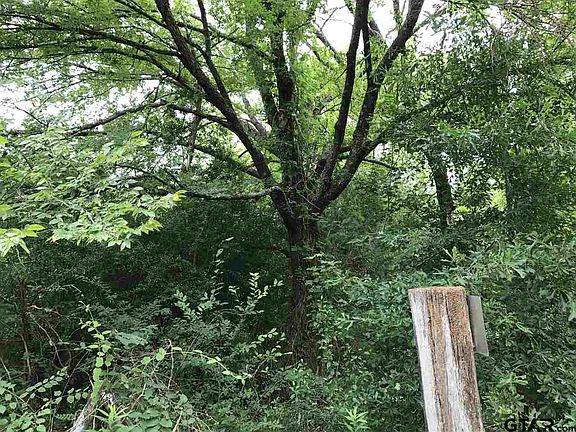 2nd image of County Road 4301