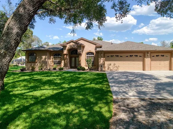 16342 Donney Moor Ln, Spring Hill, FL 34610