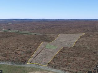 0 Deep Cut Rd LOT 4, Erin, TN 37061