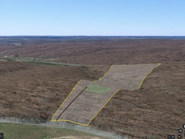 0 Deep Cut Rd Lot 4, Erin, TN 37061