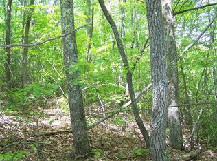 Lot 3 Lewis Dr #3, Waynesville, NC 28786