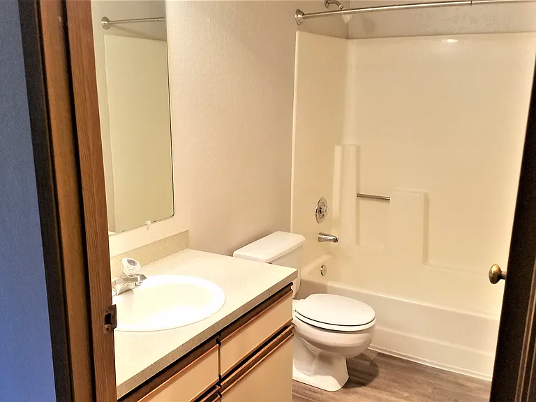 Master Bathroom in Master Bedroom