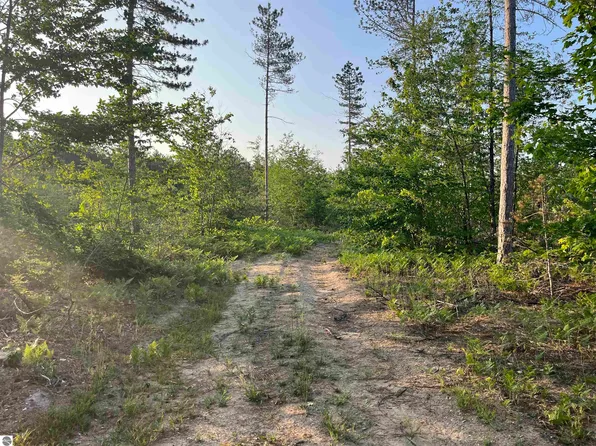 0 Maple Ave, Mancelona, MI 49659