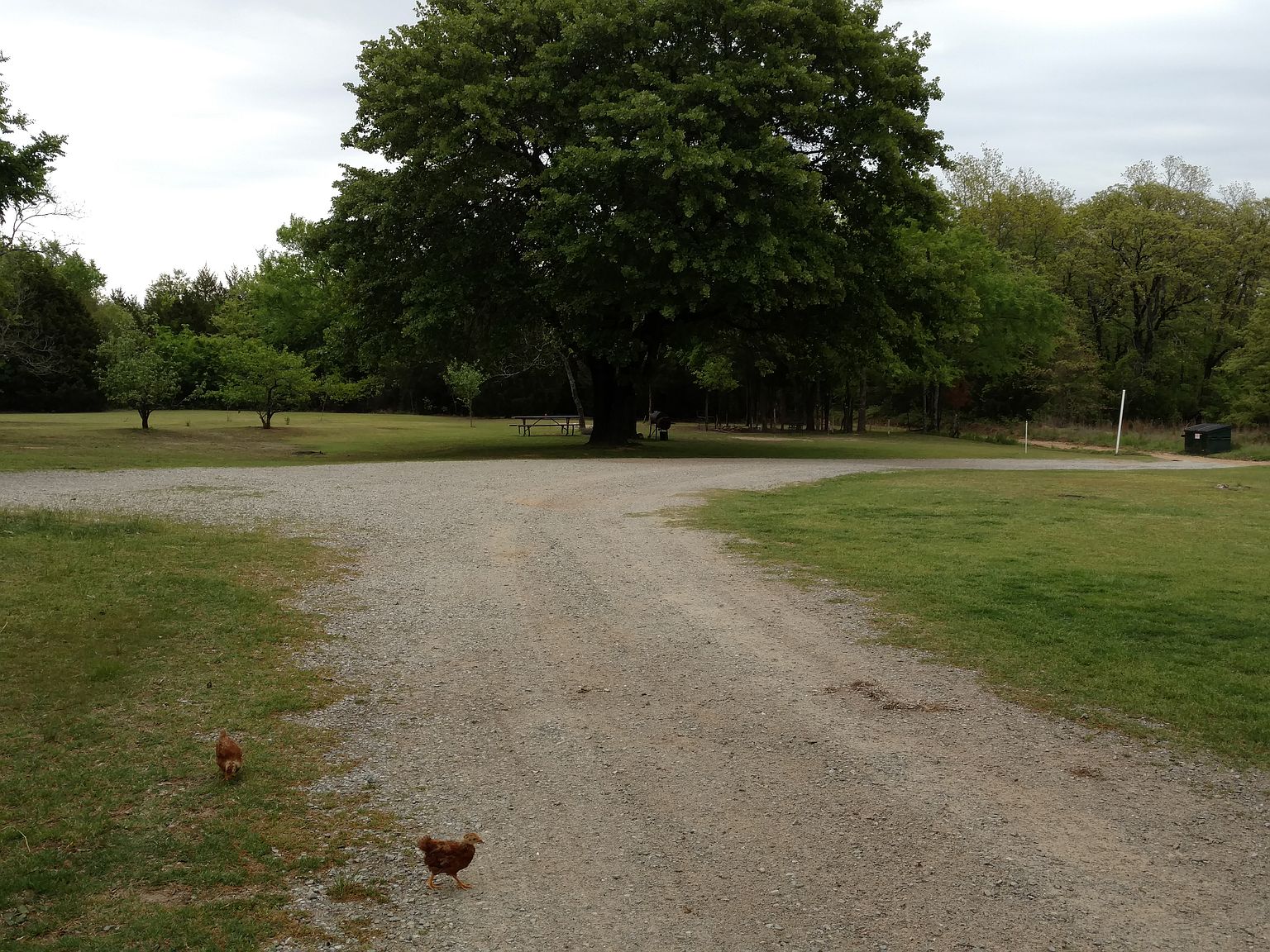 12855 E Peg Ln, Coleman, OK 73432 Zillow