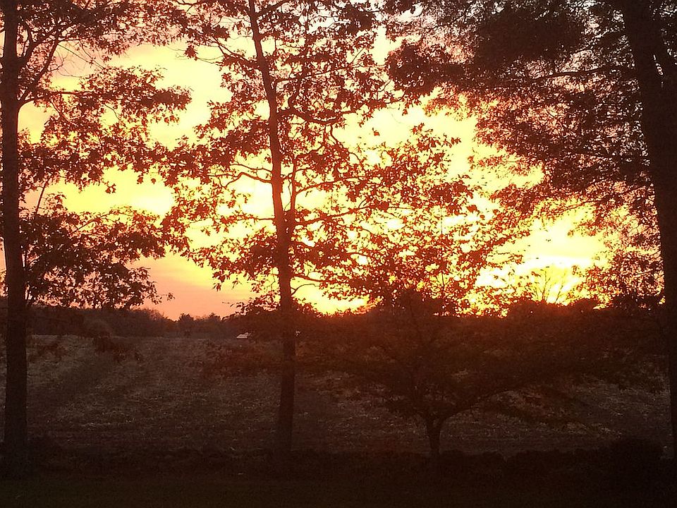 Sunset views 