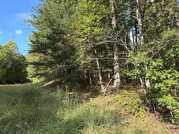 0 W Laurel Way Lot 3&4, Monterey, TN 38574