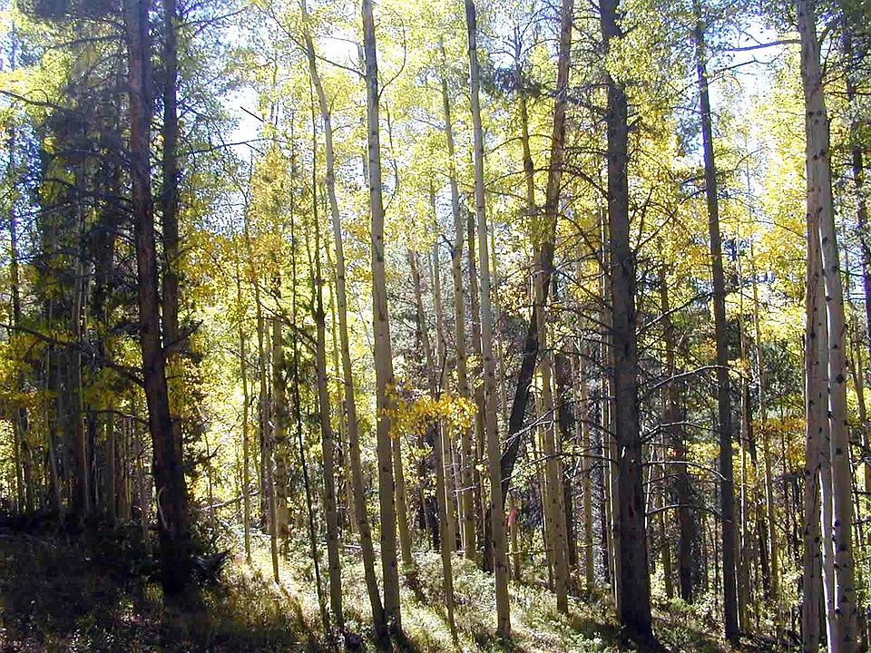 2nd image of 123 County Road 5001