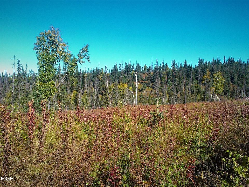 2nd image of D7 Alaskan Wildwood Rnch #R