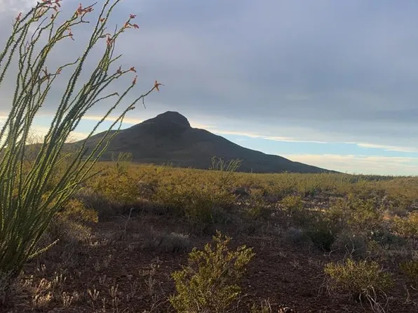 66 Cats Eye Rd, Terlingua, TX 79852