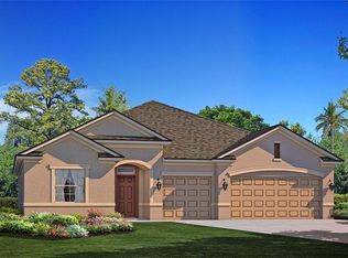 13414 Lakeview Oaks Ln, Riverview, FL 33579