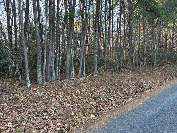 9 Tombstone Dr, Blairsville, GA 30512