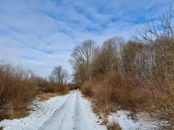 11000 W River Rd, Remus, MI 49340