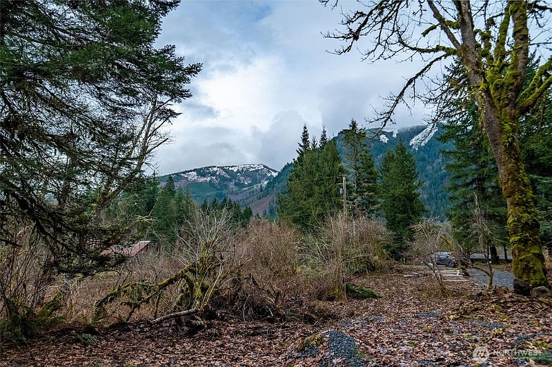 4th image of 0 Mosquito Lake Road