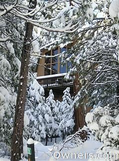 View of Cabin From Street Below