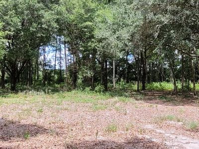 Lot 7 SW 19th Cir, Trenton, FL, 32693