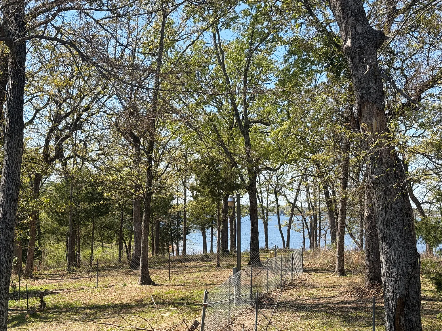 2 bed, 832 sqft, $1,400 — Photo 3