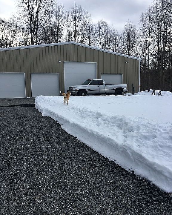 2nd image of 307 Turkey Top Rd