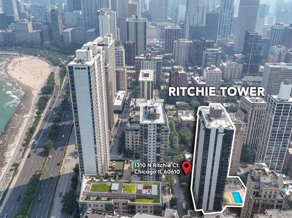 1310 N Ritchie Ct APT 7D, Chicago, IL 60610